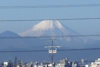 fuji